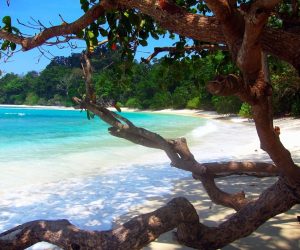 Havelock Island, Andaman [Swaraj Dweep]