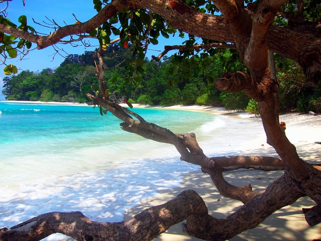 Havelock Island, Andaman [Swaraj Dweep]