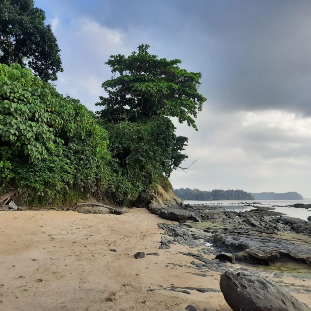 Wandoor Beach - best beaches in port blair 2023